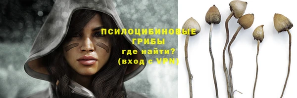 дживик Заволжск
