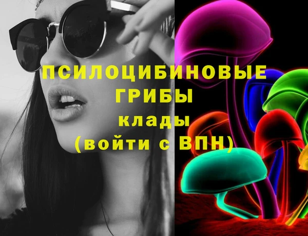 дживик Заволжск
