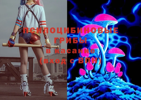 сатива Пролетарск