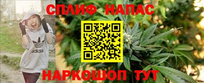 амф Кимры