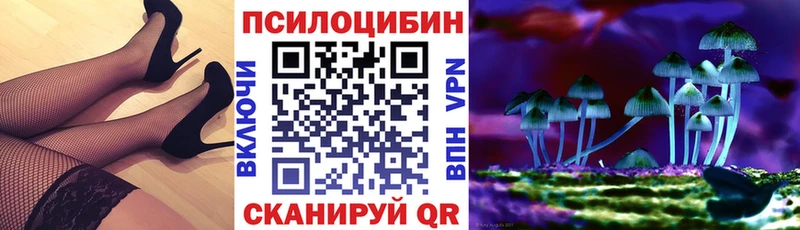 Псилоцибиновые грибы GOLDEN TEACHER где можно купить наркотик Сибай