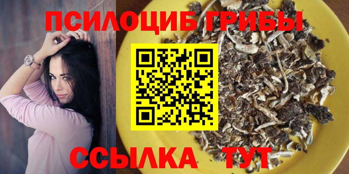 купить наркоту  Вход с VPN  Сибай  Псилоцибиновые грибы прущие грибы 