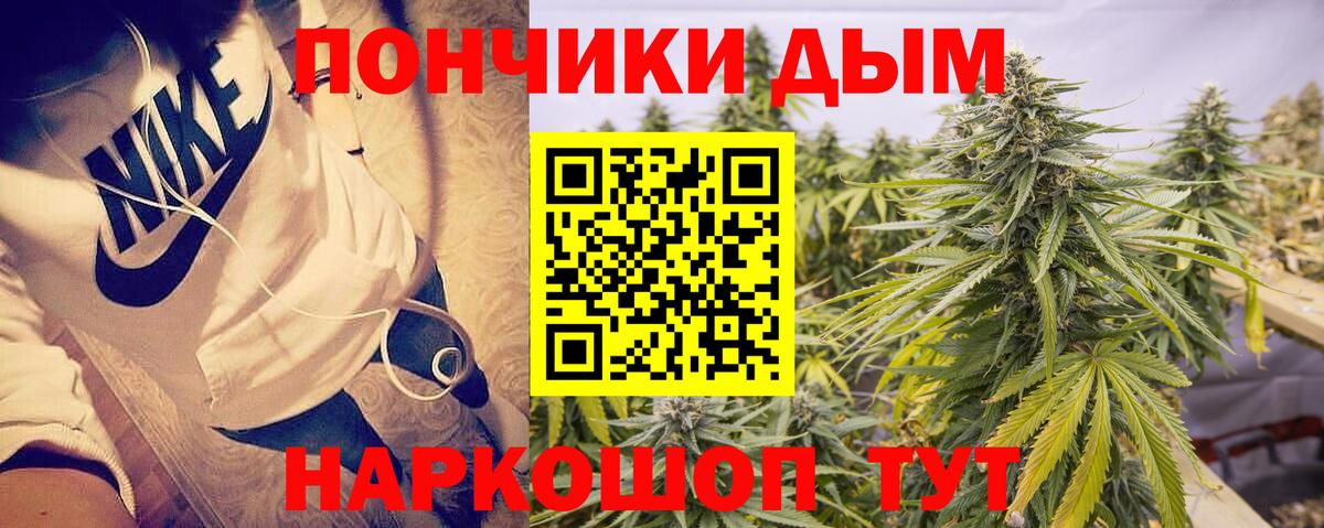 Шишки марихуана Bruce Banner Сибай